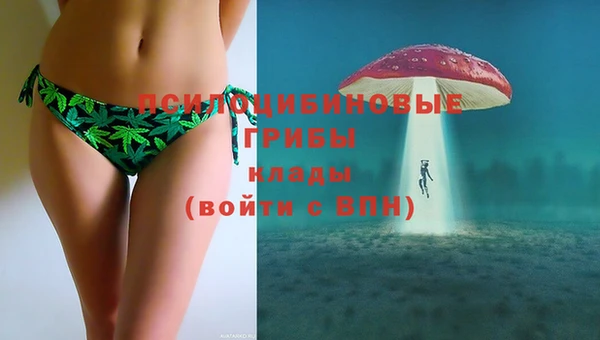 молекула духа Вязники