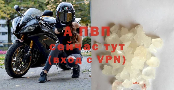 молекула духа Вязники